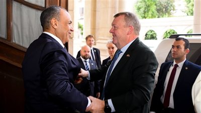 وزير الخارجية يبحث مع نظيره الدنماركي التعاون بمجال الطاقة المتجددة 
