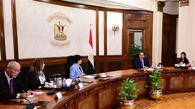 مباحثات مصرية - يابانية لتعزيز التعاون فى الصحة و التعليم و الطيران المدني