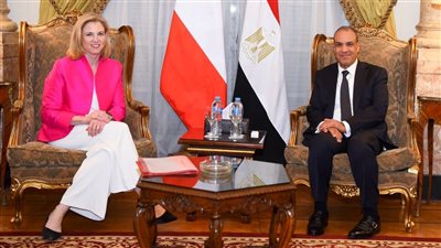 وزير الخارجية يبحث مع نظيره النمساوي تفعيل اللجنة المشتركة بين البلدين