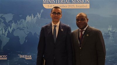 مصر تبحث ترتيبات استضافة إجتماع منظمة الدول الثماني الاسلامية النامية «D8»