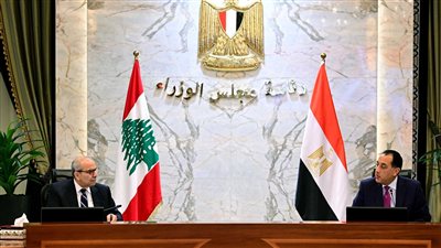 مصر ولبنان تبحثان تعزيز التعاون المشترك بمجالات الطاقة والتجارة والاستثمار