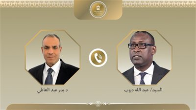 وزير الخارجية يطالب بإطلاق سراح المصريين الثلاثة المختطفين فى مالى 