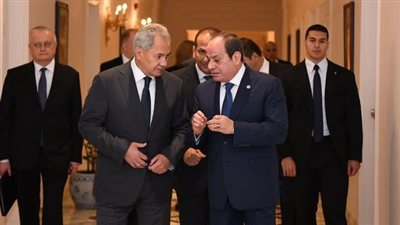 الرئيس السيسي يؤكد دعم مصر لجهود تسوية الأزمة الروسية - الأوكرانية