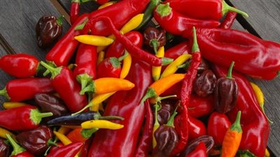 السعودية تقرر حظر استيراد 