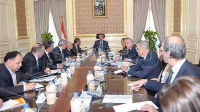 تشكيل لجنة وزارية للنظر في تظلمات عقود التوريدات بعد تحرير سعر الصرف