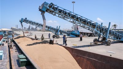 ميناء دمياط ينقل شحنة من القمح إلى صوامع إمبابه عبر نهر النيل