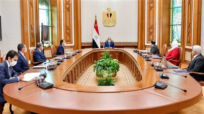 السيسي يوجه بتعزيز منظومة دعم العاملين فى مجال الفن