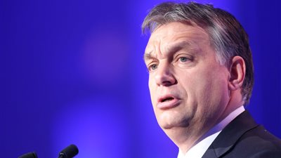 بالفيديو..فضيحة شركة 