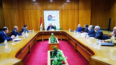 وزير قطاع الأعمال يبحث آليات تطبيق النظام الجديد لتداول القطن