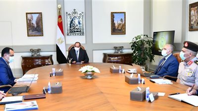 السيسي يوجه بالتوسع في مشروع إنتاج البذور محلياً