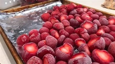 ارتفاع صادرات مصر من الفراولة المجمدة إلى 244 مليون دولار فى 2021