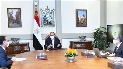 السيسي يوجه بتأسيس البنية الكهربائية لمشروع «الدلتا الجديدة»