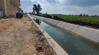 وزير الري: 80 مليار جنيه تكلفة تأهيل 20 ألف كيلو متر من الترع