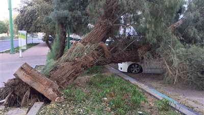 بالفيديو..مصرع 3 اشخاص فى اقوى عاصفة تهب على المانيا