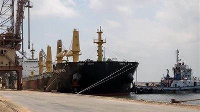 تداول 10 سفن حاويات وبضائع بميناء دمياط