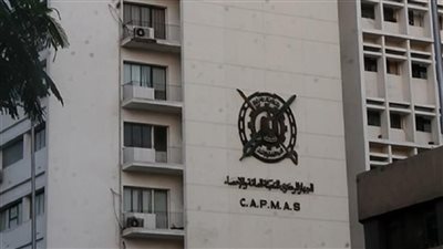 «الإحصاء»: 8.6% انخفاضا فى عدد العاملين بالقطاع العام خلال 2021