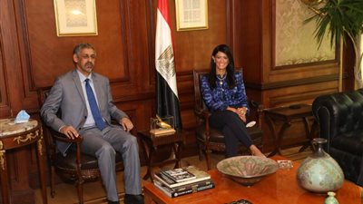 «المشاط» تبحث تعزيز الصادرات والاستثمارات المصرية لأفريقيا