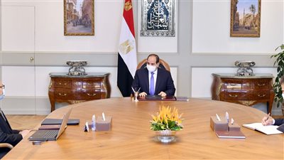 السيسي يوجه بتركيز جهود تطوير وميكنة منظومة المحاكم واجراءات التقاضي