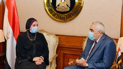 نيفين جامع: حريصون على نقل الخبرات الصناعية والتجارية المصرية للعراق