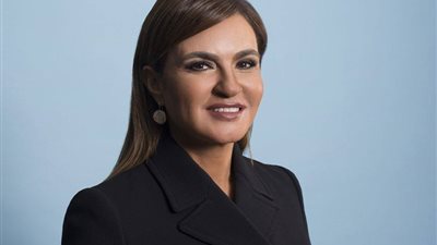 قرار وزارى بتشكيل أولى لجان التظلمات بالهيئة العامة للاستثمار 