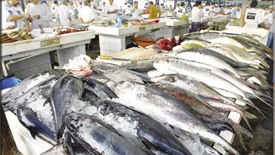 بالفيديو..تهديدات تواجه الثروة السمكية في الإمارات