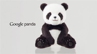 بالفيديو..جوجل تطلق 