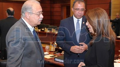 رئيس الوزراء يوافق على تعديل كردون أمني في بني سويف