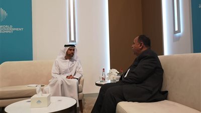 وزيرا المالية المصرى والإماراتي يتفقان على تعزيز التعاون لمواجهة التحديات العالمية