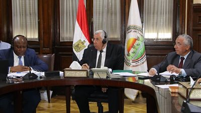 وزير الزراعة يترأس اجتماع مجلس وزراء الأرز الإفريقي