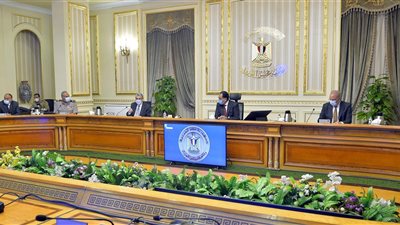 رئيس الوزراء يتابع موقف مشروعات الكهرباء ضمن مبادرة «حياة كريمة»