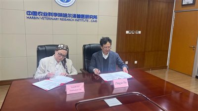 تعاون مصري - صيني لتعزيز الابتكار في مجال الصحة الحيوانية