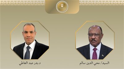 وزير الخارجية يبحث سبل دعم جهود التوصل لتسوية شاملة للأزمة السودانية