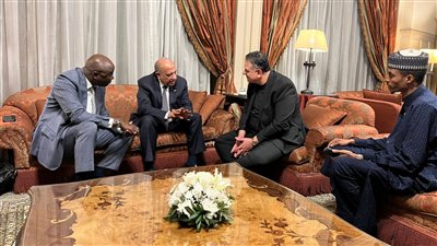 مصر وتشاد تبحثان سبل تعزيز التعاون في مجالات الكهرباء والطاقة المتجددة