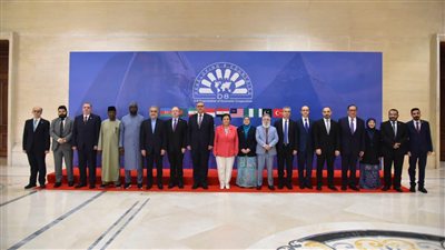 انطلاق اجتماع وزراء صحة «دول الثماني النامية D-8» في مصر