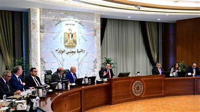 الحكومة توفر احتياجات الطاقة لمصانع بالمنطقة الاقتصادية لقناة السويس