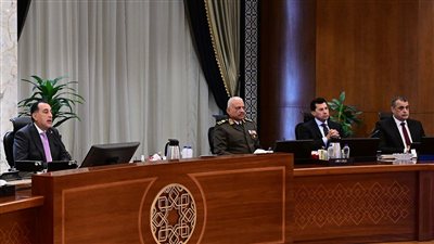 تخصيص قطعتي أرض لإقامة ميناء جاف ومنطقة لوجيستية في وادي النطرون بالبحيرة