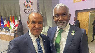 مصر تبحث مع نيجيريا تعزيز التعاون فى مجالات الزراعة والدواء والطاقة والإنشاءات