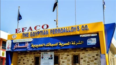 زيادة رأس مال الشركة المصرية للسبائك الحديدية إلى 300 مليون جنيه