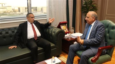 مصر والجزائر تبحثان سبل تعزيز التعاون في مجالات الكهرباء والتحول الطاقي