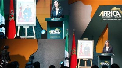 وزير الاقتصاد المغربية تؤكد ضرورة إرساء شراكات إقتصادية بين الدول الإفريقية
