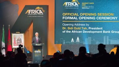 رئيس البنك الإفريقي للتنمية يدعو لتعزيز التعاون بين المؤسسات المالية لتنمية دول القارة 