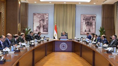 رئيس الوزراء يُتابع موقف سداد مستحقات شركات الأدوية
