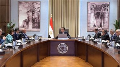 رئيس الوزراء يُتابع إجراءات منع تهريب السلع والبضائع عبر المنافذ