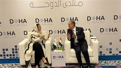 وزير الخارجية يؤكد التزام مصر بتعزيز التحول الرقمي وتطوير سياسات الذكاء الاصطناعي