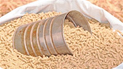 قرار وزاري باستمرار فرض رسوم على صادرات بعض مكونات الأعلاف