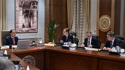 الحكومة تبحث مع «الأوروبي لإعادة الإعمار» مشروعات جديدة بمجالات الكهرباء والطاقة