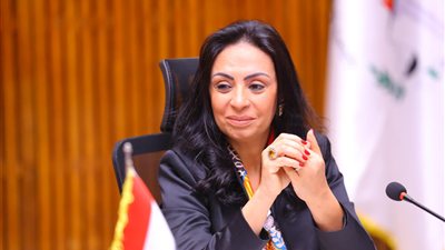 وزارة التضامن تقر قيد 3 جمعيات في محافظتي القاهرة وكفر الشيخ