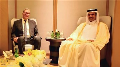 مصر وقطر تبحثان إقامة شراكات في مجالات البتروكيماويات والغاز الطبيعي