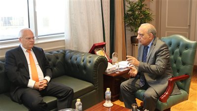 مصر والسويد تبحثان التعاون بمجالات الطاقة المتجددة وشبكات الكهرباء الذكية