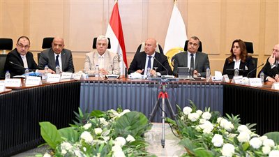 «برومتيون» الصينية تؤسس مصنع للإطارات باستثمارات 300 مليون دولار